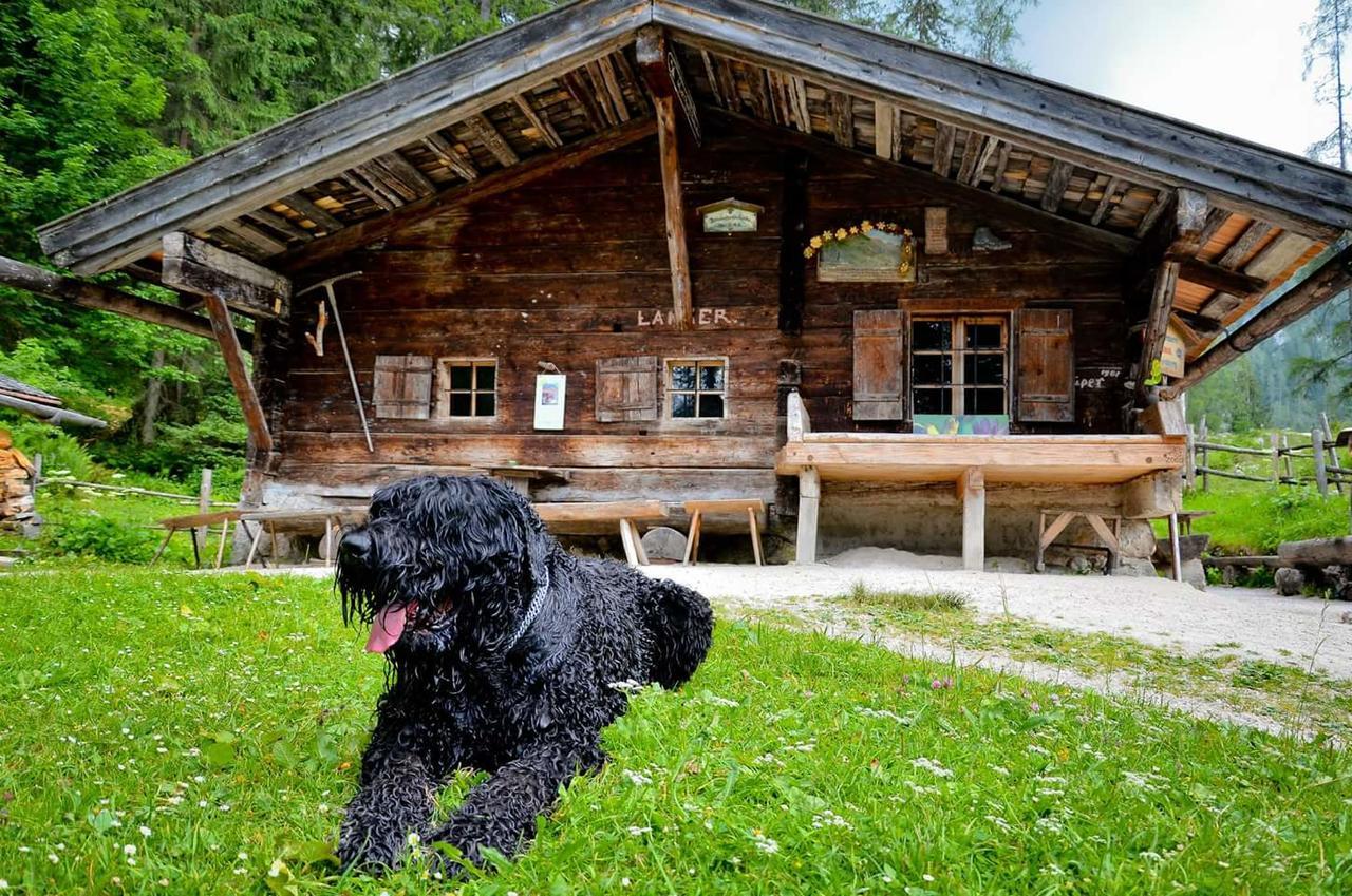 Pension Greti Schönau am Königssee Dış mekan fotoğraf